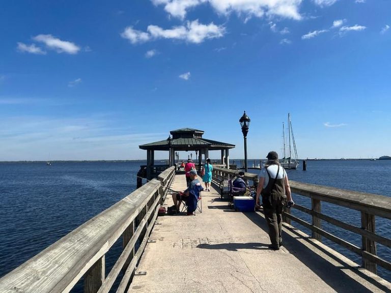 Fishing at Stockton Park Jacksonville Review: